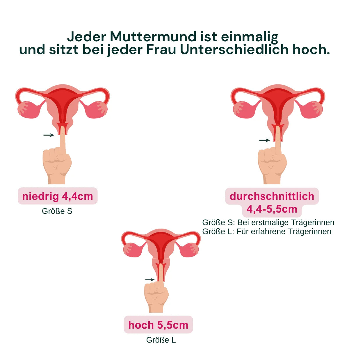 VenusDisc - Menstruationsscheibe