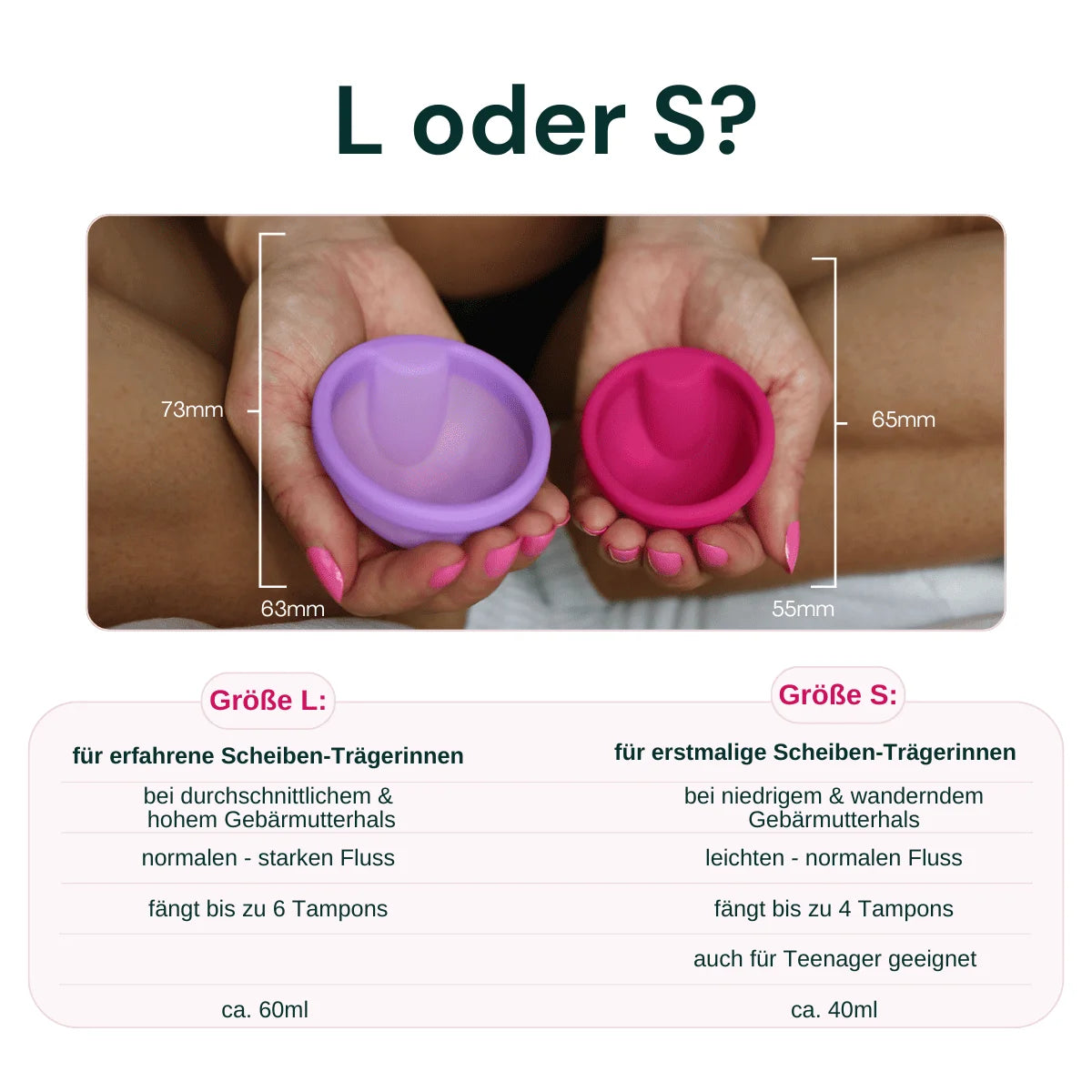 VenusDisc Beginner Set