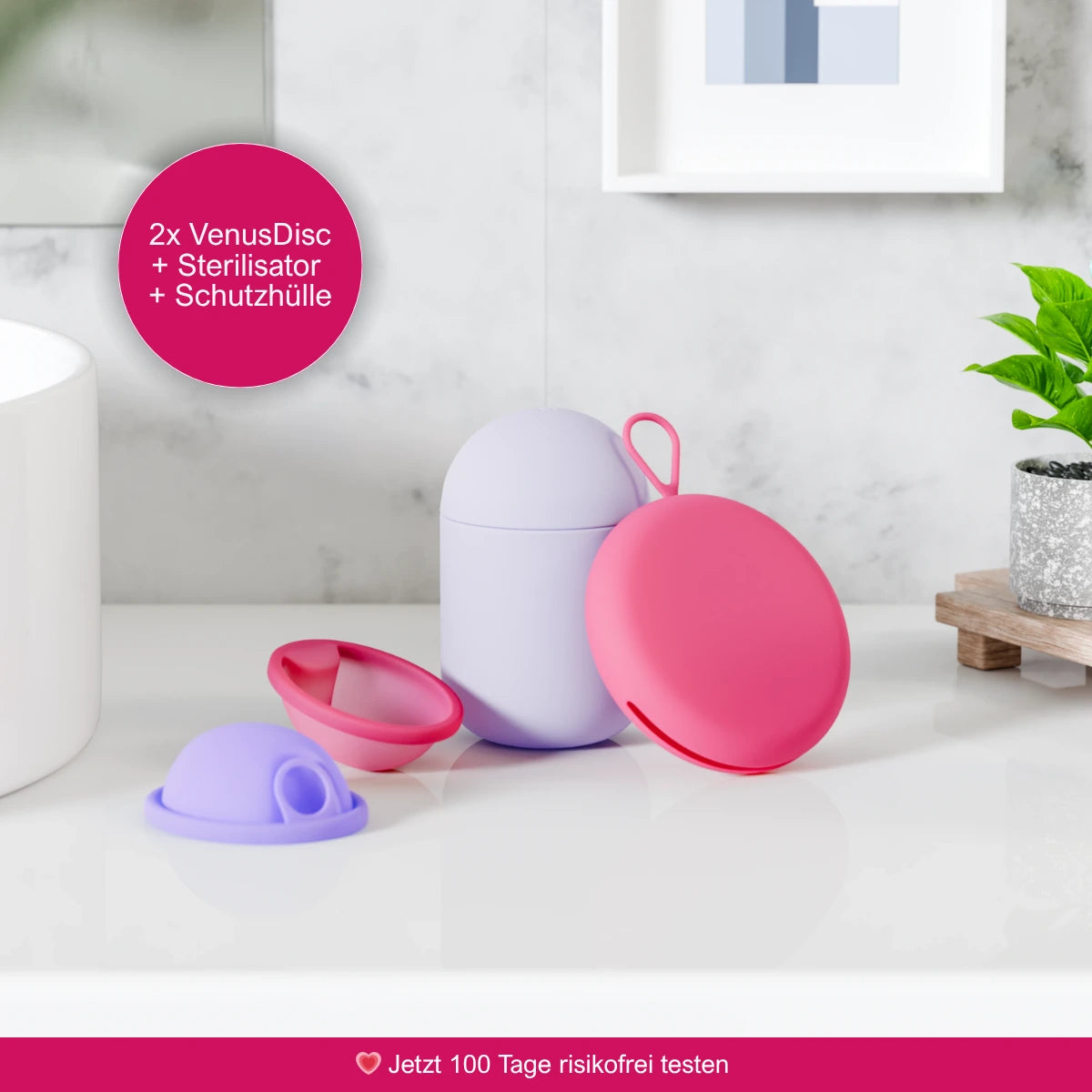 VenusDisc Beginner Set